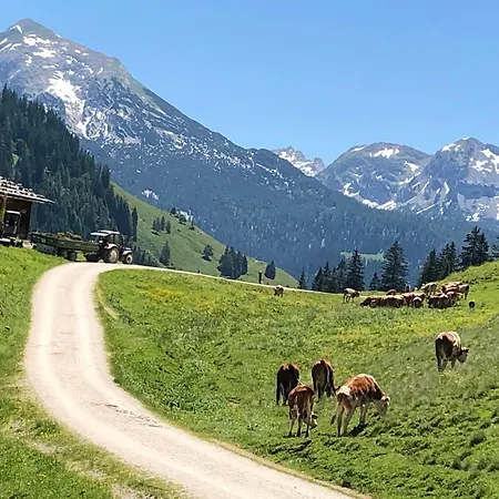 公寓 康斯坦丁豪华公寓 *